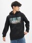 black_17900