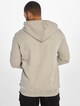 Ecko Unltd. Base Hoodies-1