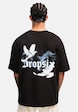 Heavy Cloud Dove-1