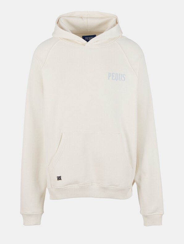 PEQUS Back Logo Hoodies-4