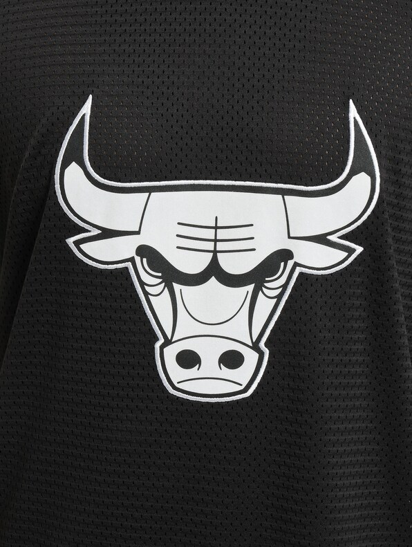 NBA Chicago Bulls Team Logo Oversized-4