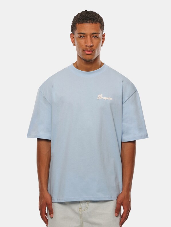 Dropsize Heavy Oversize PLH T-Shirts-1