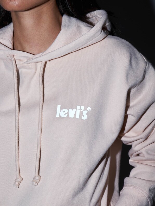 Levis Graphic Standard Hoodie-4