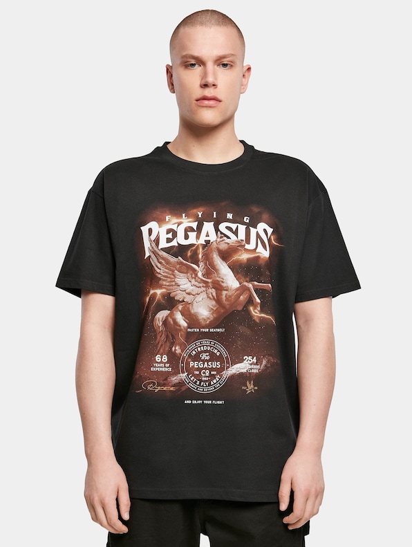 Pegasus Oversize -2