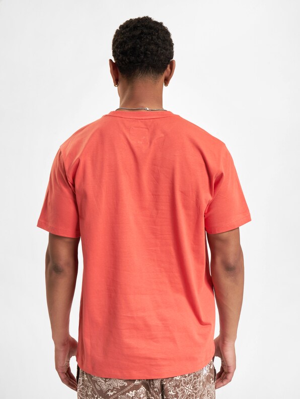 X Wood Wood BORIS -1