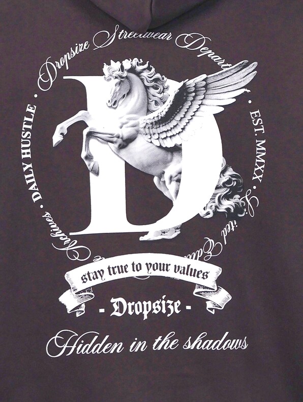 HEAVY OVERSIZE PEGASUS -4