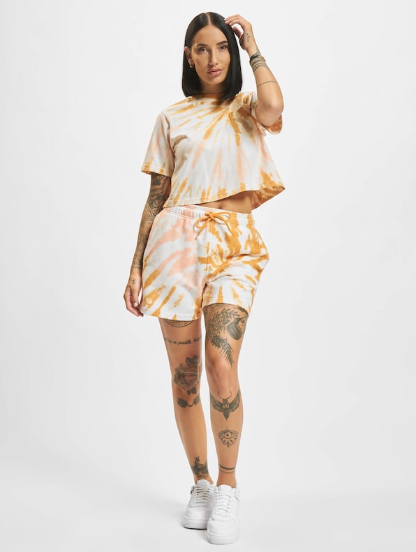 Dickies Seatac T-Shirt golden-4