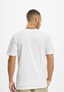white_34077