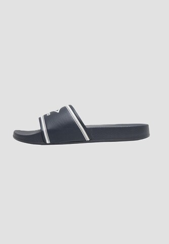 Bahia Slides