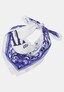 blue_145301