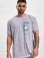 grey_63421