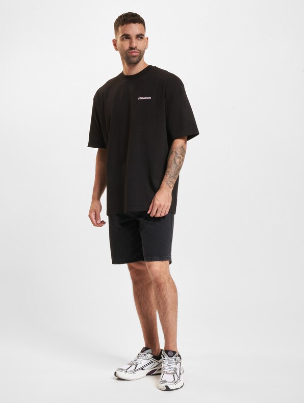 PEGADOR Aleso Oversized T-Shirts-5