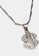 Small Dollar Necklace-2