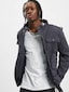 indigo_37548