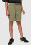 olive_2202