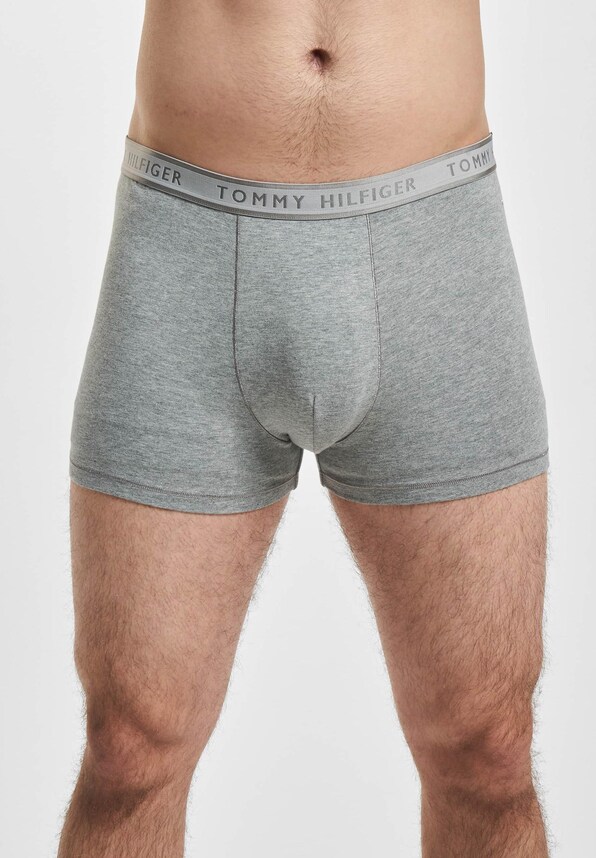 Trunk Boxer-2