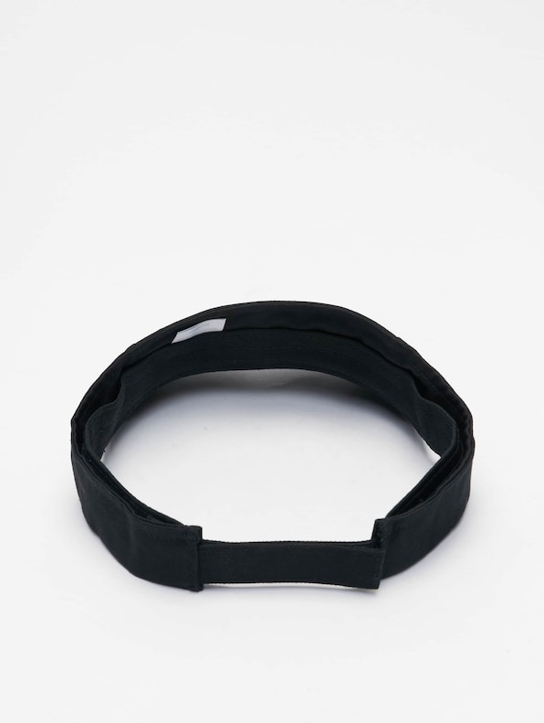 Curved Visor-1