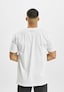 white_18504