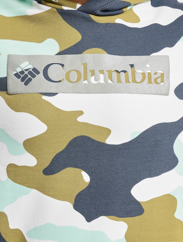 Columbia Logo Printed Hoodies-3