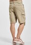 beige_53381