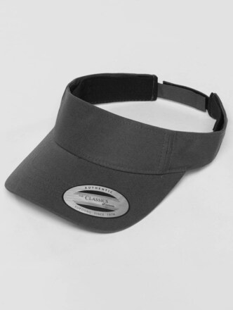 Curved Visor