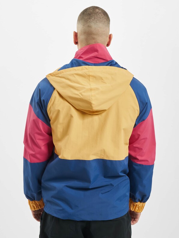 Multicolored Logo-1