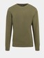 olive_16290