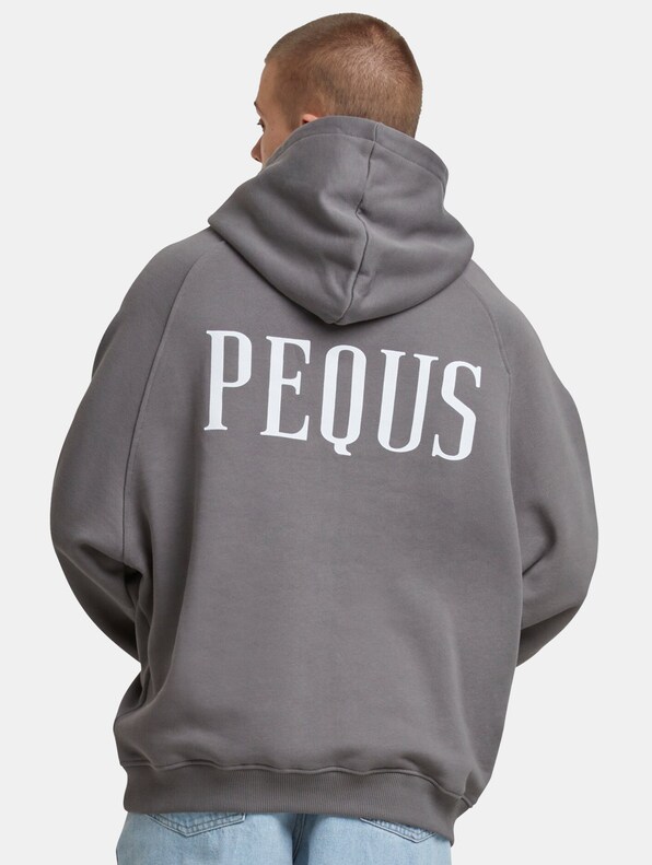 PEQUS Back Logo Hoodies-1