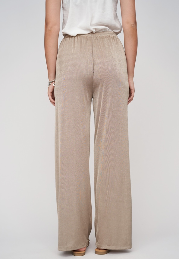 Lurex Look Pants-1