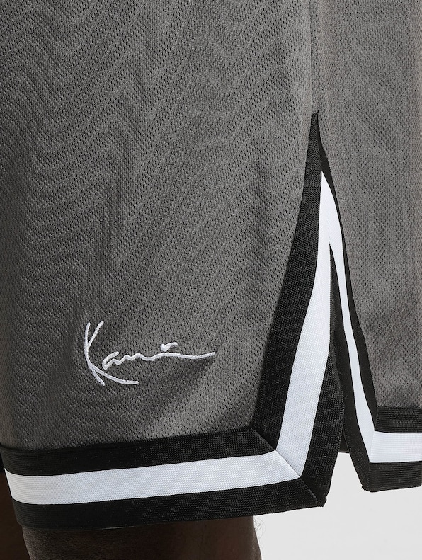 Small Signature Essential Mesh -3