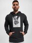grey_17221
