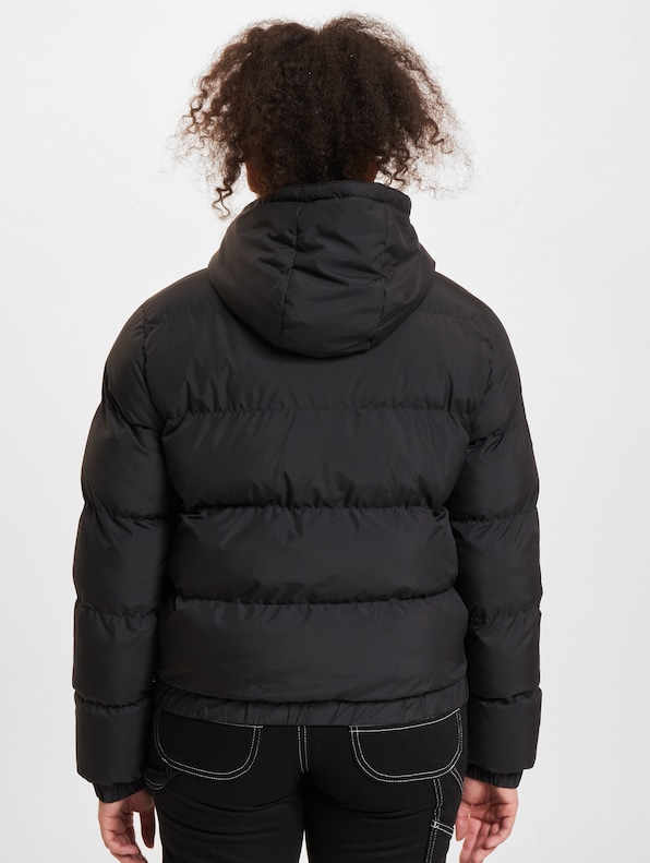  Hooded Puffer-1