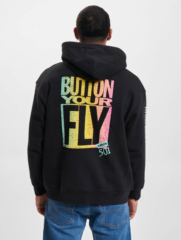 Levis Relaxed Graphic Hoodie-1