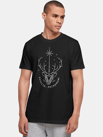Harry Potter - Expecto Patronum Basic