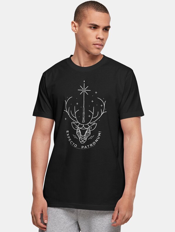 Harry Potter - Expecto Patronum Basic-0