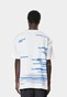 white_13936