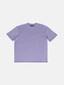 violet_149874