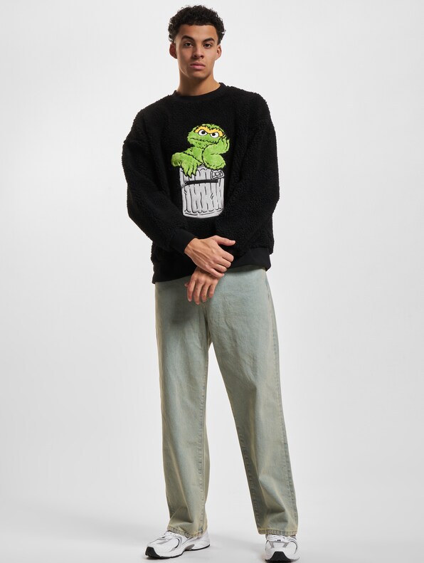 Carlo Colucci Teddy R/N Sesame Street Pullover-5