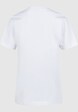 Looney Tunes Wile E Coyote Colour Code with Kids Basic -1