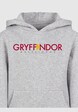 Harry Potter Gryffindor Text with Basic Kids -2