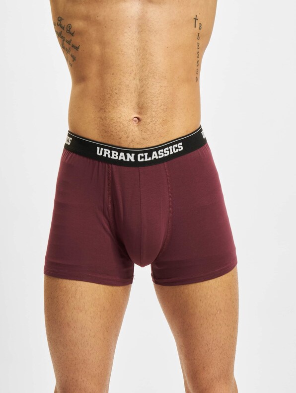 Organic Boxer Shorts 3-Pack-4