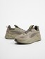 olive_126751