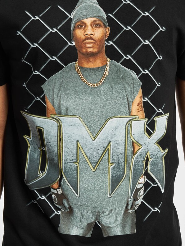 Dmx Fence-3