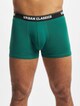 Organic 3-Pack-1