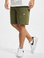 olive_12229