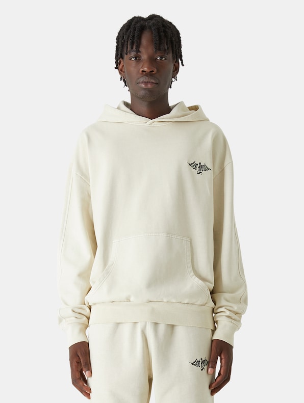 LY HEAVY TERRY HOODIE ''CLASSIC''-0