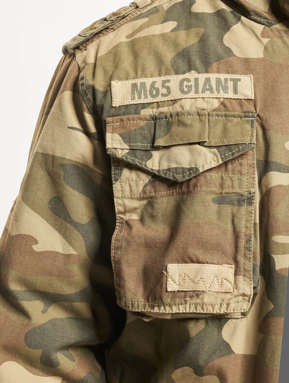 M65 Giant -5