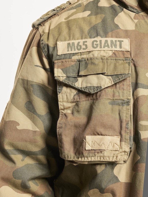 M65 Giant -5