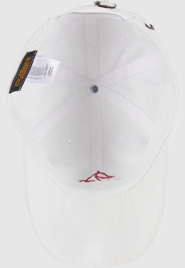 Heart Cherries Dad Cap-4