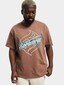 brown_14380